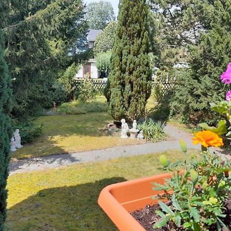 Pferd - Spass - Entspannung Staitz Exteriér fotografie