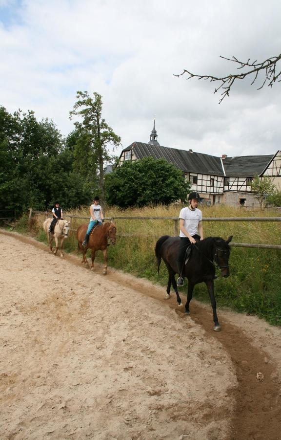 Pferd - Spass - Entspannung Staitz Exteriér fotografie