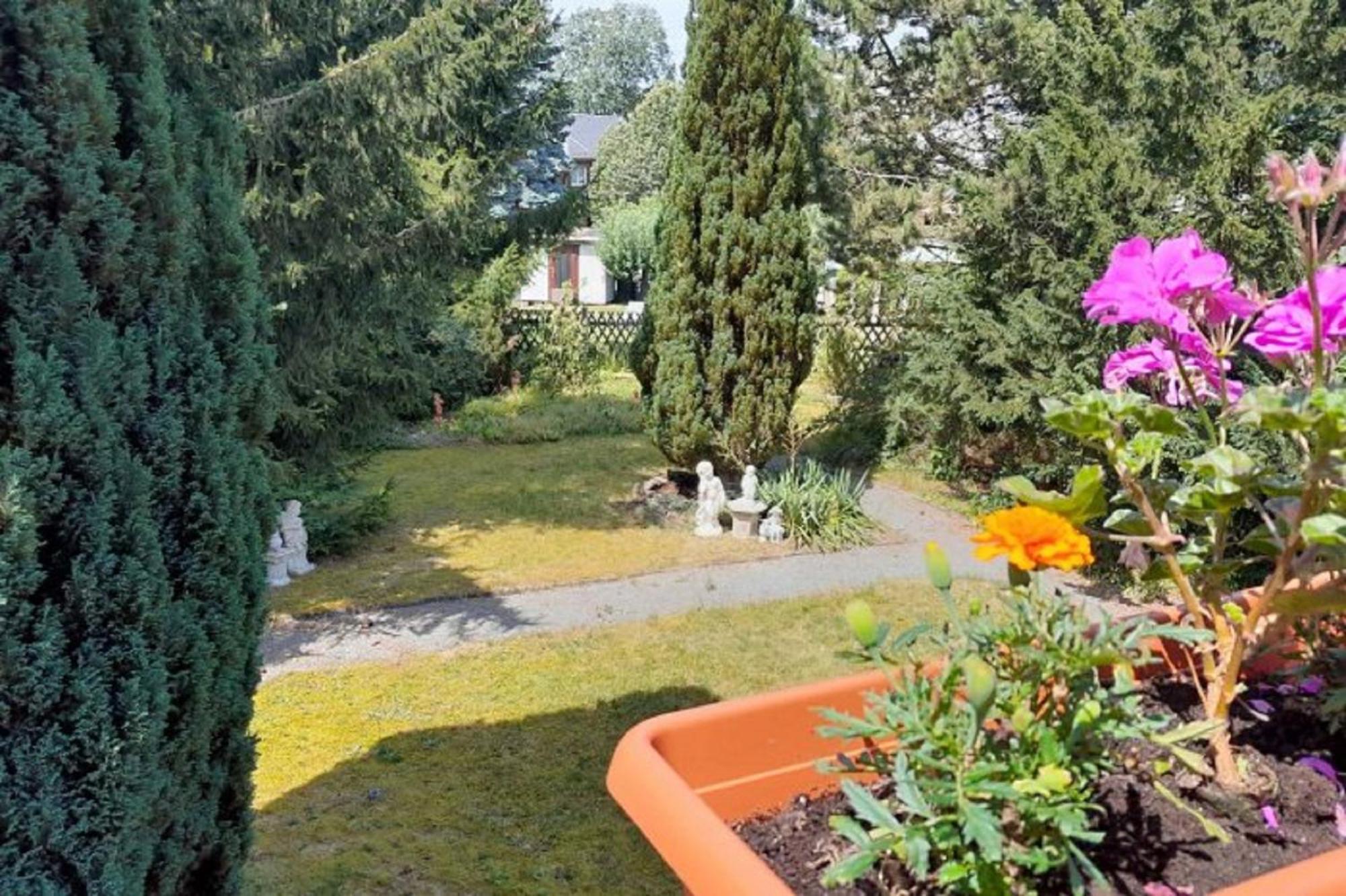 Pferd - Spass - Entspannung Staitz Exteriér fotografie